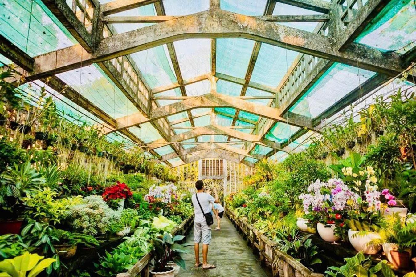 花ren Hostel TP. Hồ Chí Minh Ngoại thất bức ảnh